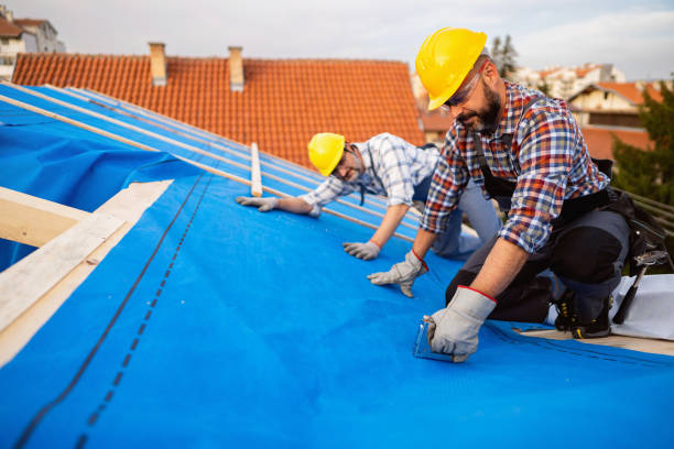 Best Roof Ventilation Installation  in Dellwood, MN